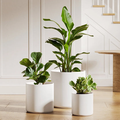 Set of 3 (10"+8"+6") Plant Pots with Drainage Hole & Plug for Indoor & Patio Decor, White Indoor Plant Pots